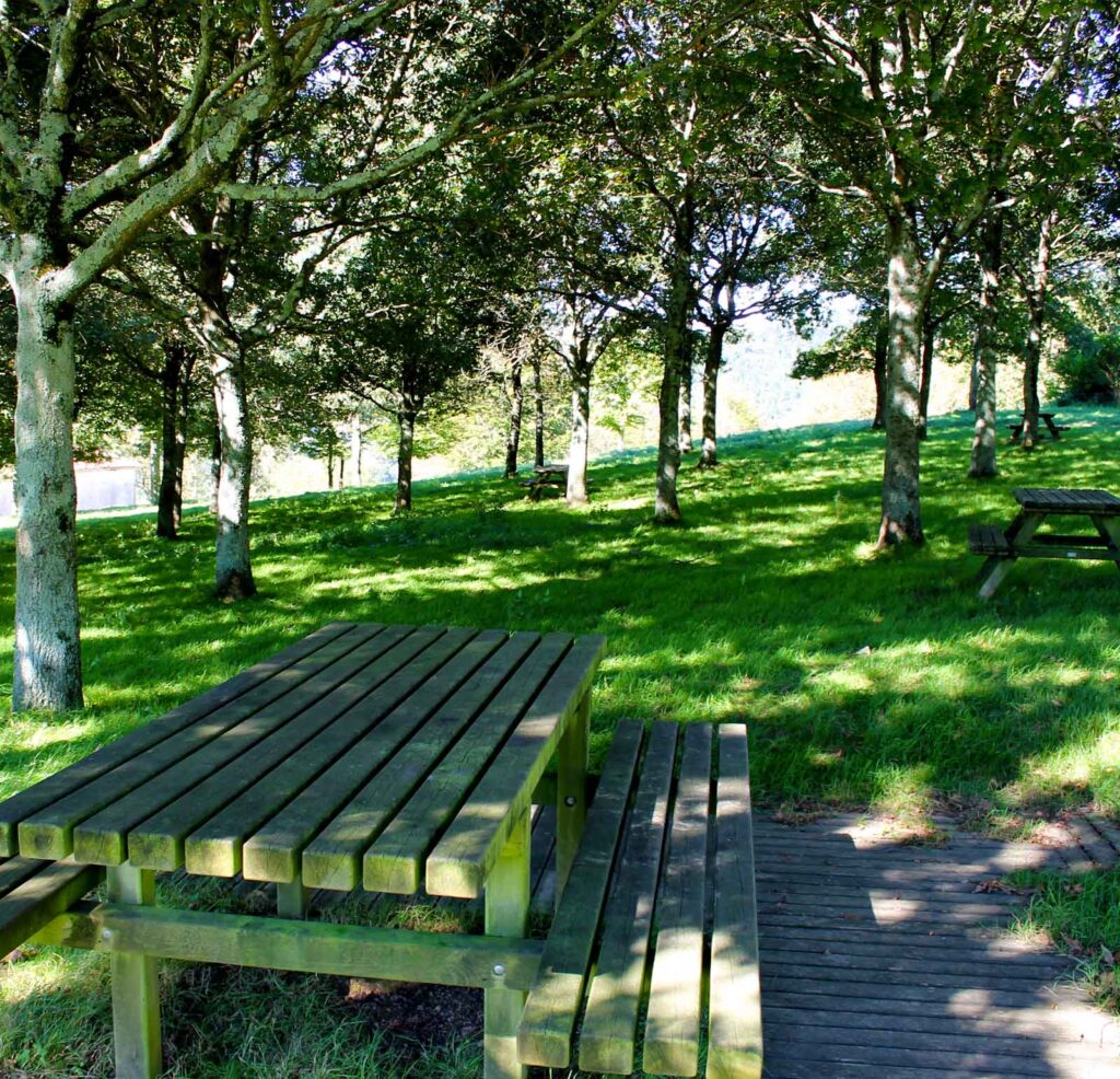 altzola atseden lekua aia