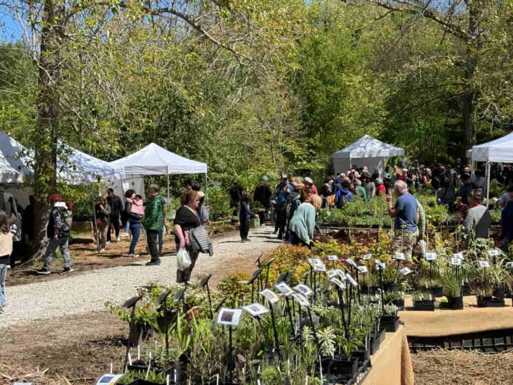Landare Berezien Azoka Aia