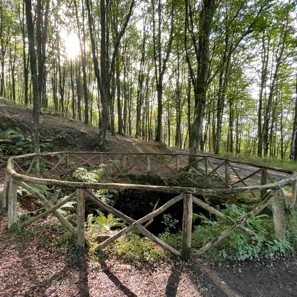 Pagoetako hagina Aia