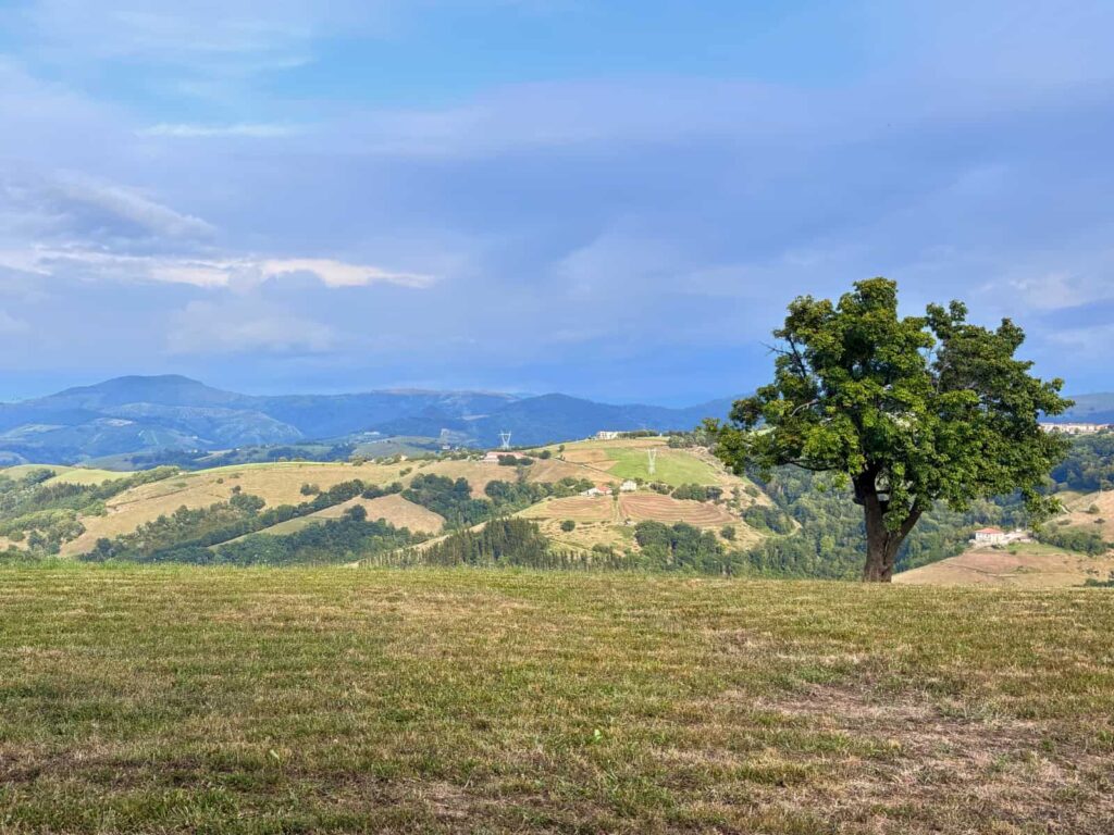 Bizkar landetxea Aia